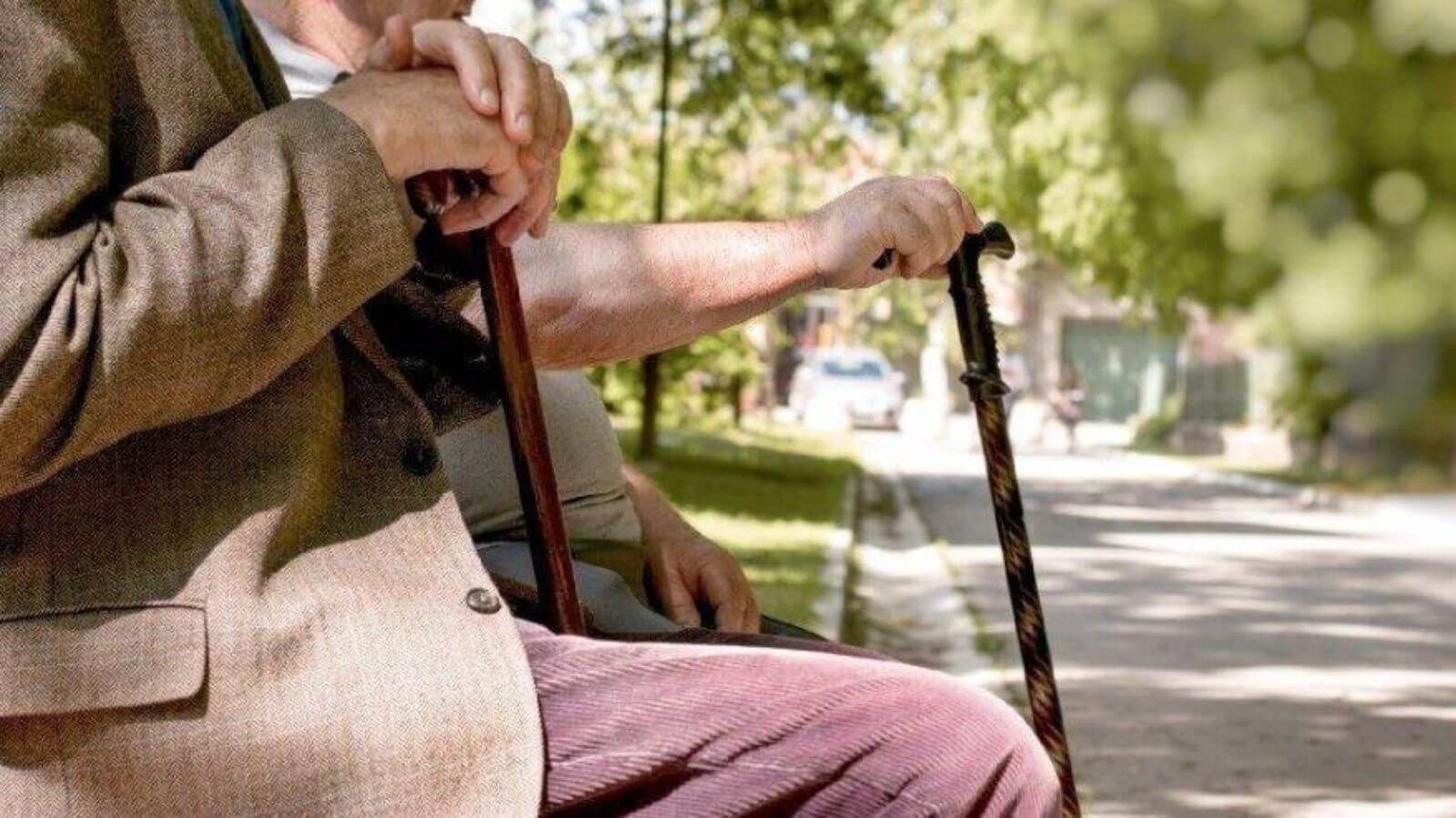 Emeklilik Başvurusu Nasıl Yapılır? SGK İşlemleri Adım Adım | TurkArama Motoru | Sağlık ve Günlük Yaşam için Pratik Bilgiler