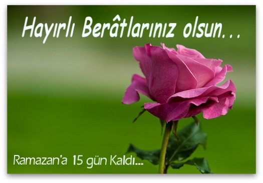 Hayırlı bir gün – 02-02-2026 | TurkArama Motoru | Sağlık ve Günlük Yaşam için Pratik Bilgiler