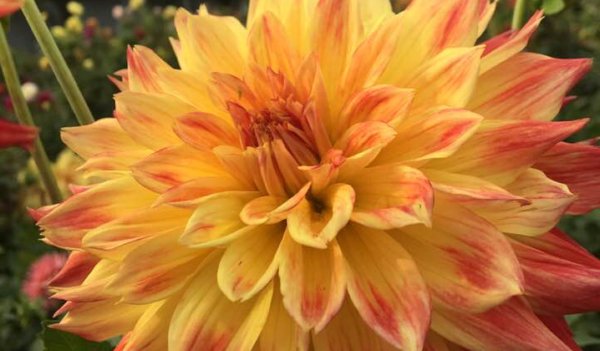 Hayırlı bir gün – 28-01-2026 | TurkArama Motoru | Sağlık ve Günlük Yaşam için Pratik Bilgiler