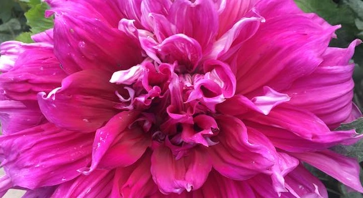 Hayırlı bir gün – 31-01-2026 | TurkArama Motoru | Sağlık ve Günlük Yaşam için Pratik Bilgiler