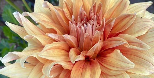 Hayırlı bir gün – 12-01-2026 | TurkArama Motoru | Sağlık ve Günlük Yaşam için Pratik Bilgiler