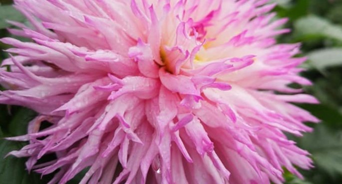 Hayırlı bir gün – 06-01-2026 | TurkArama Motoru | Sağlık ve Günlük Yaşam için Pratik Bilgiler